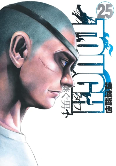 Cover of Vol. 25