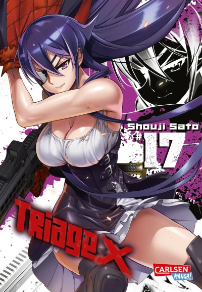 Cover of Band 17