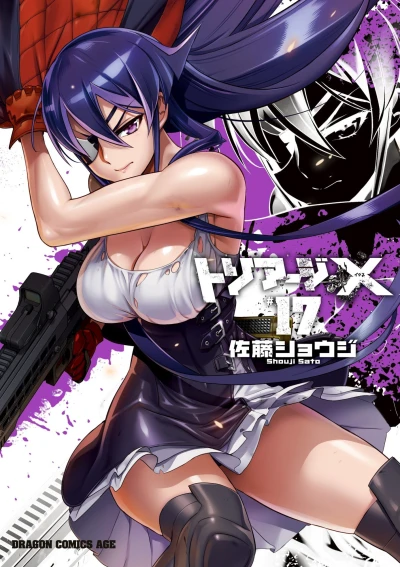 Cover of Volume 17