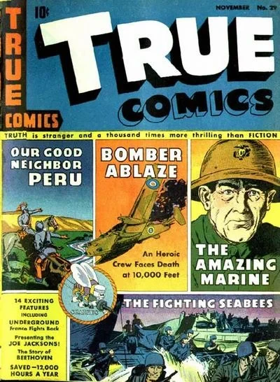 Cover of Issue #29