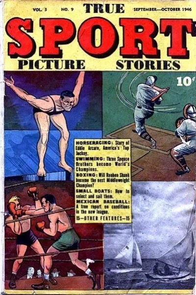 Cover of Issue #309