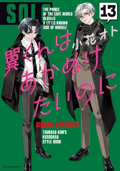 Cover of Vol. 13