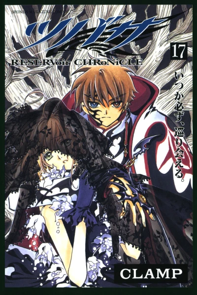 Cover of Vol. 17