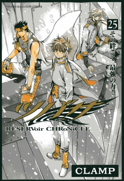 Cover of Vol. 25