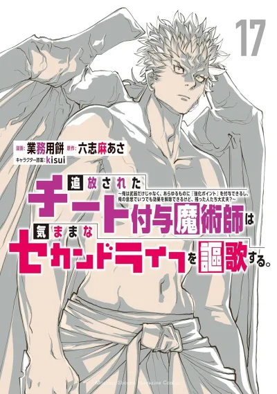 Cover of Vol. 17