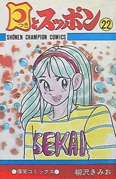 Cover of Vol. 22