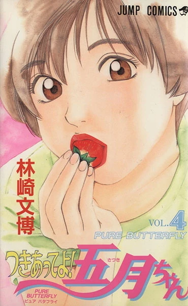 Cover of Vol. 4