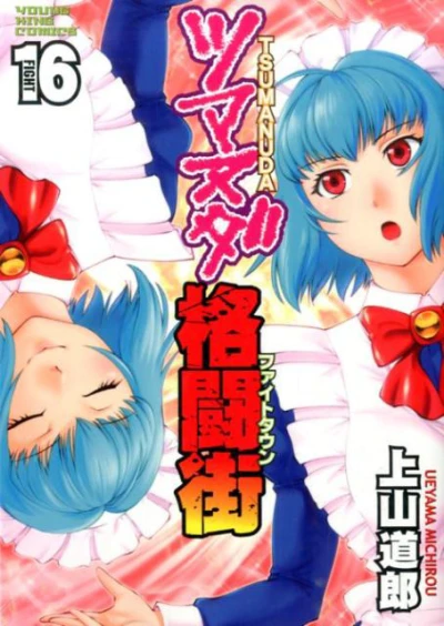 Cover of Fight 16