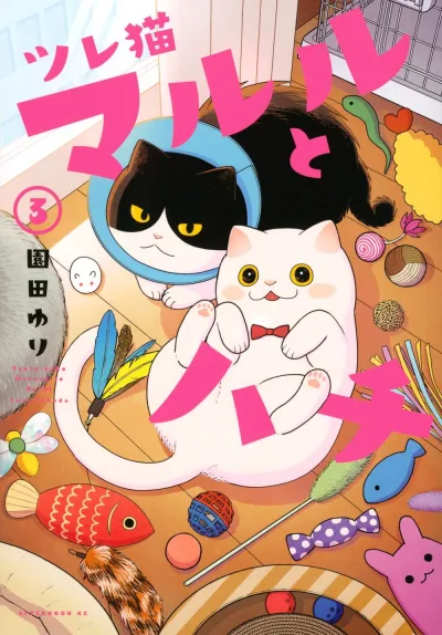 Cover of Vol. 3
