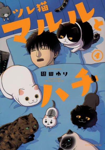 Cover of Vol. 4
