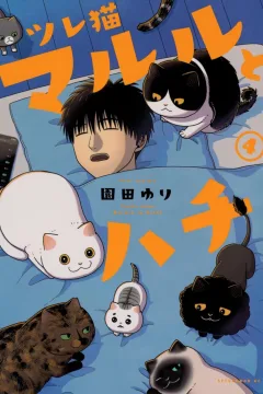 Vol. 4