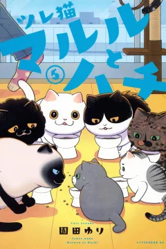Vol. 5