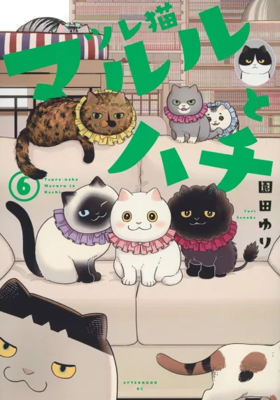 Cover of Vol. 6