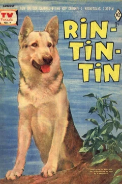 Rin-Tin-Tin