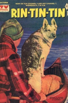 Rin-Tin-Tin