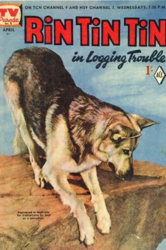 Rin Tin Tin in Logging Trouble