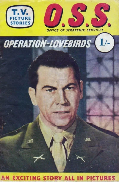 Cover of Issue #29