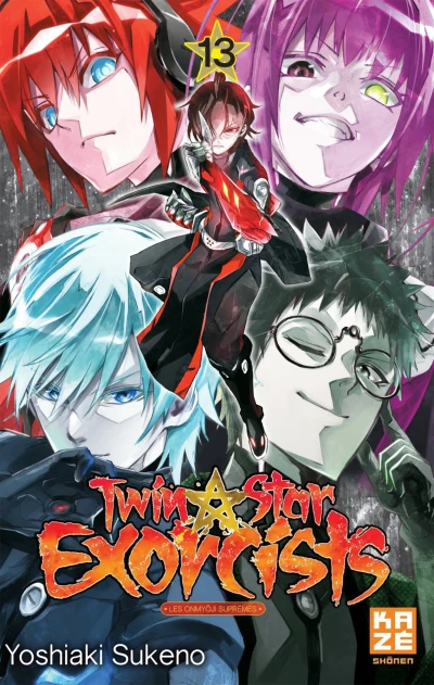 Cover of Tome 13