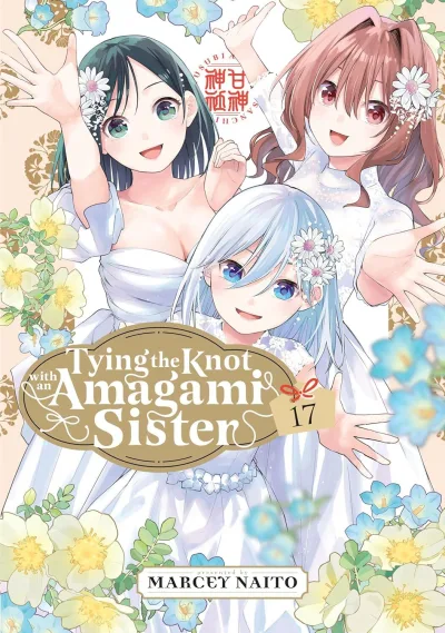 Cover of Volume 17