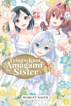 Volume 17