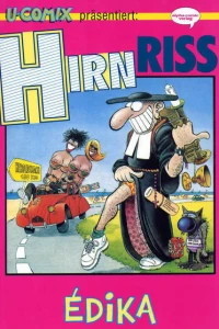 Hirnriss