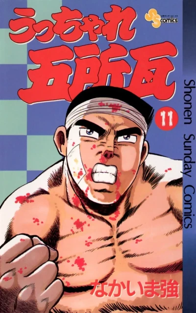 Cover of Vol. 11