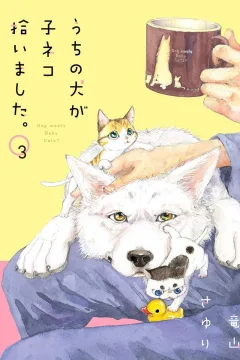 Volume 3