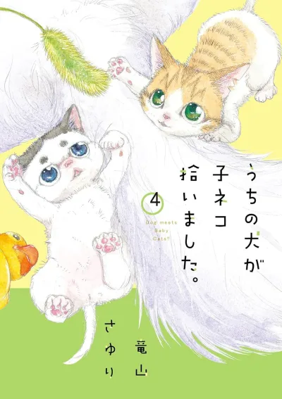 Cover of Volume 4