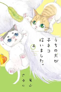 Volume 4