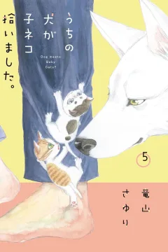 Volume 5