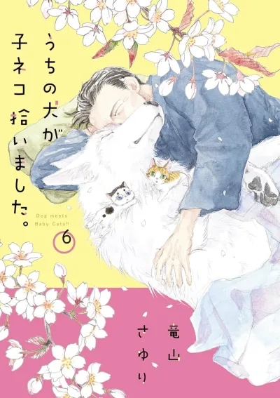 Cover of Volume 6