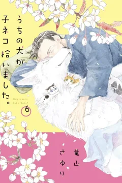 Volume 6