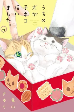 Volume 7