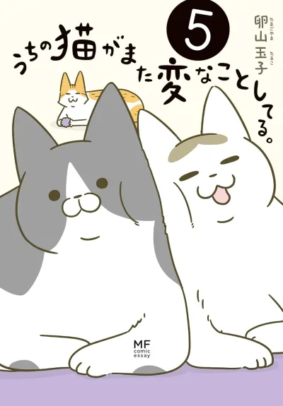 Cover of Volume #5