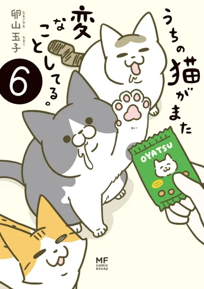 Cover of Volume #6