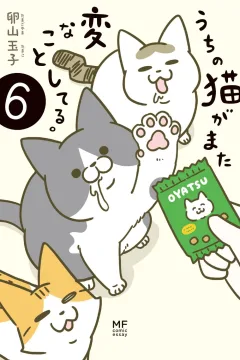 Issue #6