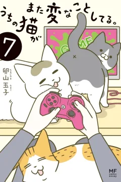 Issue #7