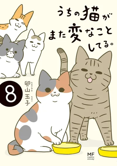 Cover of Volume #8