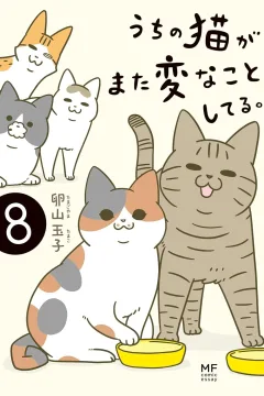 Issue #8