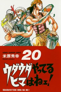 Vol. 20