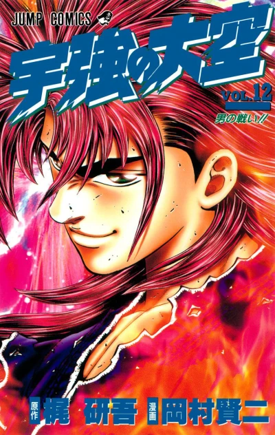 Cover of Vol. 12