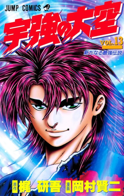 Cover of Vol. 13