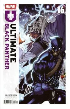 Cover of Ultimate Black Panther #16