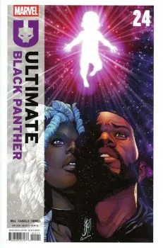 Cover of Ultimate Black Panther #24