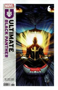 Cover of Ultimate Black Panther #6