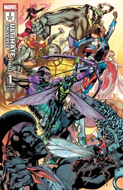 Cover of Cover D
