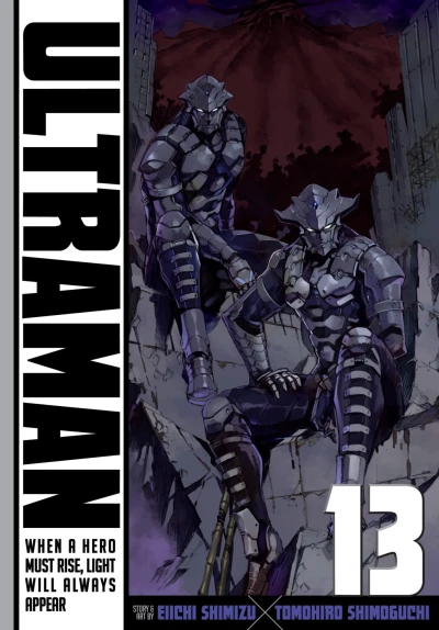 Cover of Volume 13