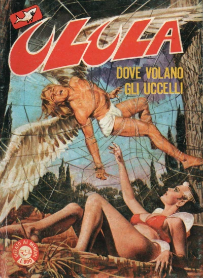 Cover of Dove Volano Gli Uccelli