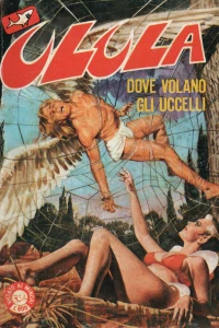 Dove Volano Gli Uccelli