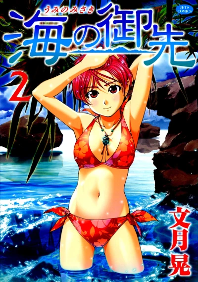 Cover of Vol. 2